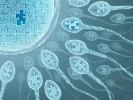 Fertility.jpg